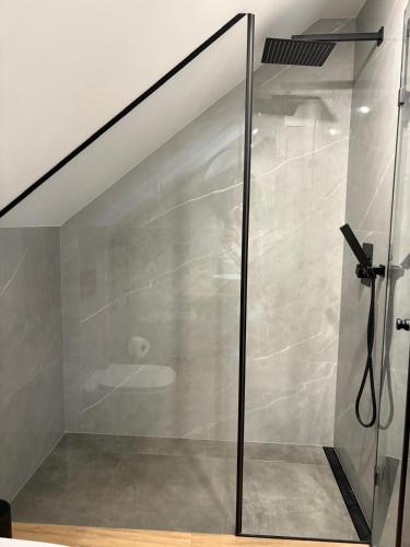 a glass shower with a toilet in a bathroom at Zapach Traw in Ostróda