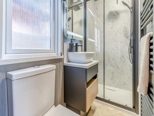 a bathroom with a sink and a toilet at Aqueduct Hideaway in Llangollen