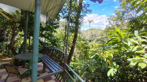 a porch with a swing in the forest at Green porticos villa munnar #MUNNAR in Anachal