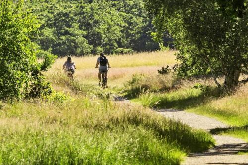 two people riding bikes on a trail in a field at 8804-Glesborg-Vesttoften-20 in Glesborg