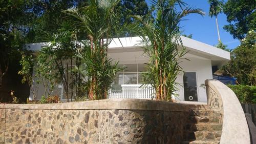 a house with palm trees behind a stone wall at My Dream Home Sri Lanka in Weligama