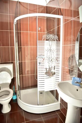 シゲトゥ・マルマツィエイにあるPensiunea Doliのバスルーム(シャワー、トイレ、洗面台付)