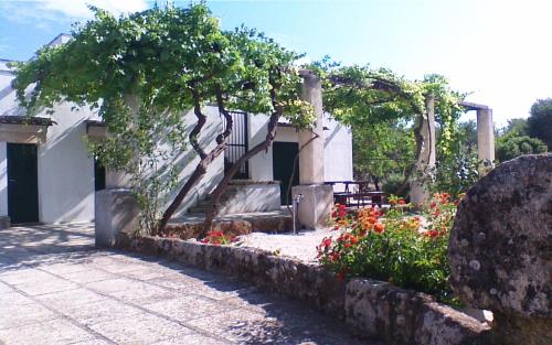 Taman di luar LA PILA masseria salentina con piscina 3 camere con 6 PL si animali domestici