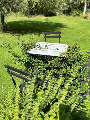 a park bench sitting in a field of grass at Beautiful house with a charming garden in Brønderslev
