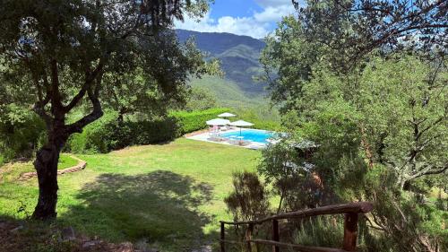 a swimming pool in the middle of a field with trees at Villa Panorama Exclusive Pool in Loro Ciuffenna