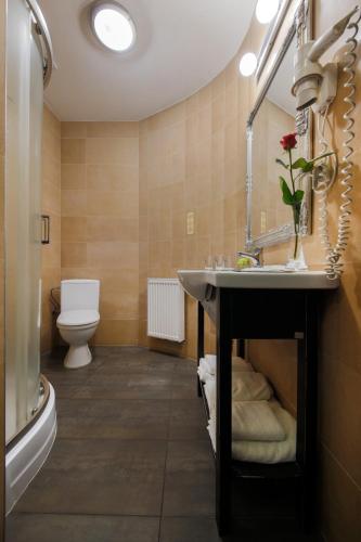 a bathroom with a sink and a toilet at Hotel Kasztel in Rzezawa