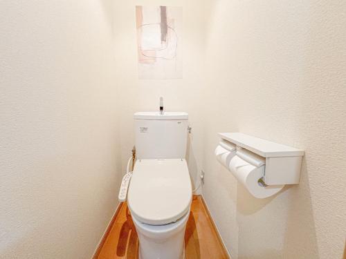a bathroom with a white toilet and a sink at Asakusa 2 Double Beds Apt, Free WiFi in Tokyo