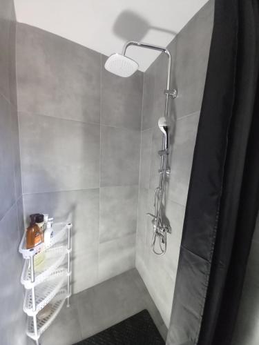a shower with a shower head in a bathroom at Με θέα το Αιγαίο in Agia Marina Lesvos