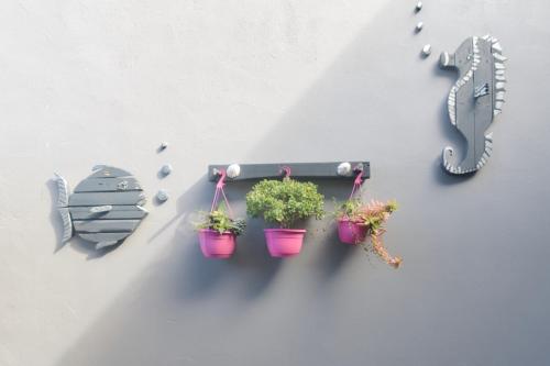 Gambar di galeri bagi Redsky self catering Agulhas di Agulhas