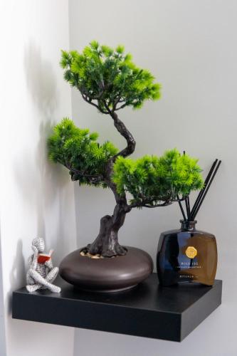 a black shelf with a bonsai tree on it at SEE - Gare de Marly in Valenciennes
