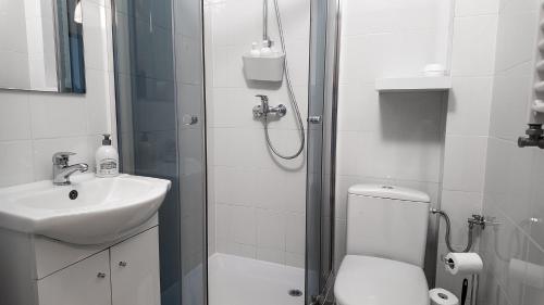 a bathroom with a shower and a toilet and a sink at Villa Marina in Augustów