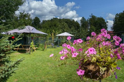 a garden with pink flowers and umbrellas at Villa Marina in Augustów