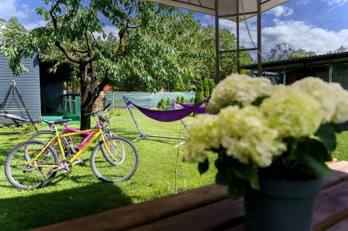 a bike parked in the grass next to a hammock at Villa Marina in Augustów