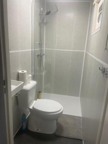a white bathroom with a toilet and a shower at Chalet in de bossen bij Garderen in Putten