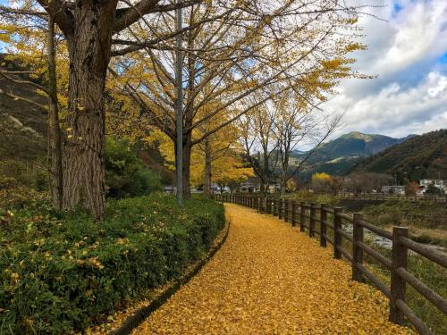 a yellow path next to a fence at Hatake no Oyado - Vacation STAY 74494v in Takeda