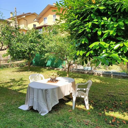 a table and two chairs sitting under a tree at Carpegna Green House in Carpegna