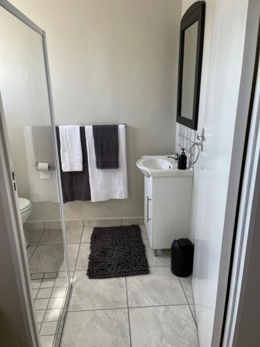 a bathroom with a shower and a sink and a mirror at Sophia’s Cottage in Cape Town