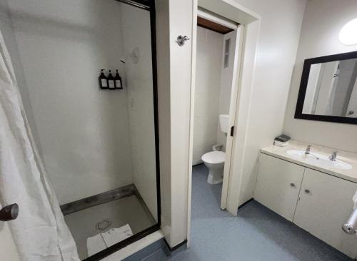 a bathroom with a shower and a sink and a toilet at Mountain View Motel in Taupo