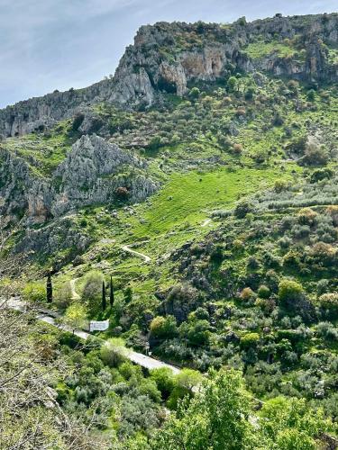 a grassy hill with a mountain in the background at Hacienda el Tarajal in Priego de Córdoba
