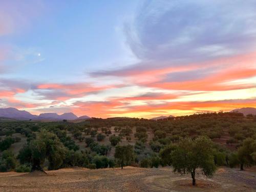 a sunset over a field with trees and mountains at Hacienda el Tarajal in Priego de Córdoba