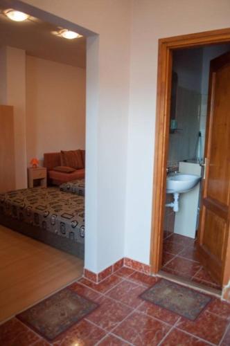 a living room with a couch and a sink at Bornemisza Kuria in Tiszabecs