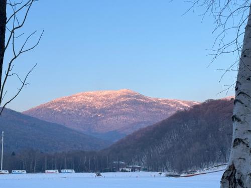 a mountain in the distance with snow and trees at Yabuli QuShe Four seasons Private Lakefornt B&B in Xinhua