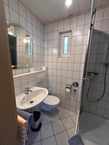 a bathroom with a sink and a toilet and a shower at Gästehaus Im Unnerdorf 