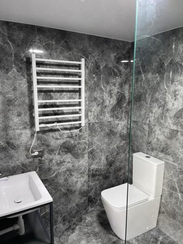 Family cottage في يابلونيتسيا: حمام مع مرحاض ومغسلة