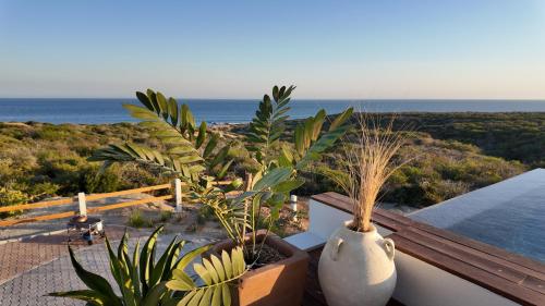 a view of the ocean from a balcony with plants at Casa del Mar - Luxury Seaside Villa in Boca de la Vinorama