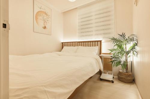 a bedroom with a white bed and a potted plant at Nldam Stay Seoul Station Walk 8min Near Namsan Tower, Easy to Hongdae, Myeongdong,DDP in Seoul