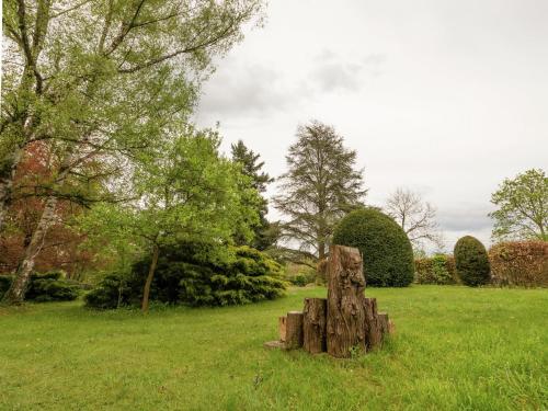 a tree stump sitting in the middle of a field at Beautiful manor house in a park near Rochefort in Forrières