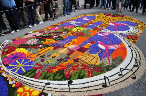 a colorful rangoli on the ground in a street at Torre Paola Dimora romantica in Acquasparta
