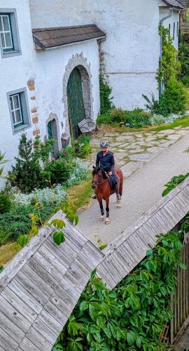 a person riding a horse over a wooden bridge at Pferdeparadies Stein 