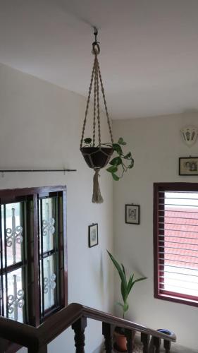 a chandelier hanging from the ceiling in a room at Pari's HOMEstay in Varkala