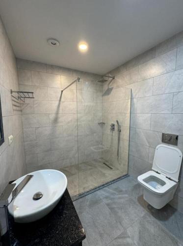 ein Badezimmer mit Dusche, Toilette und Waschbecken in der Unterkunft machakhela inn Cottage and hotel in Machakhela