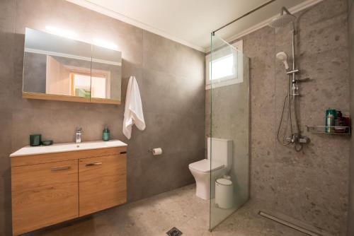 a bathroom with a shower and a toilet and a sink at Marianna's and Aristidis' houses in Sívros