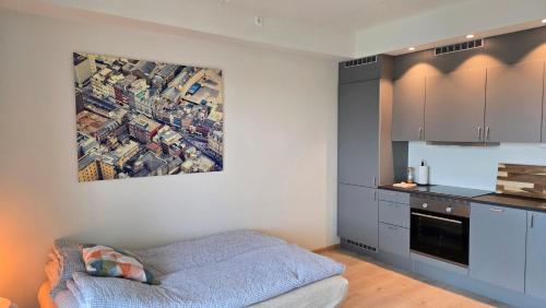 Kuchyň nebo kuchyňský kout v ubytování New studio apartment in Hamar 7th floor