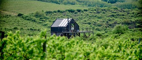 CAMPY ECO HOUSE • EGER