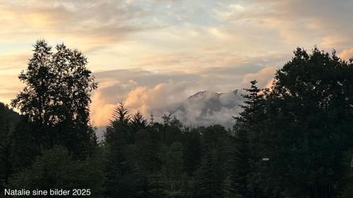 a view of a mountain with clouds and trees at Stranda Apartment in Senja