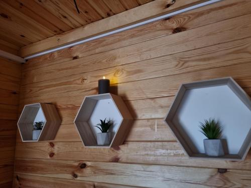 Imagine din galeria proprietății Эко Парк în Bălţi