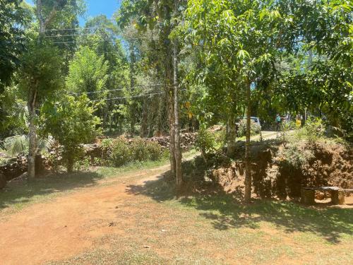 a dirt road with a bench in a forest at Meemure traval master in Meemure