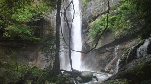 a waterfall in the middle of a forest at Meemure traval master in Meemure