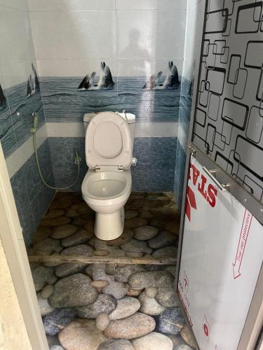 a bathroom with a toilet with dolphins on the wall at Meemure traval master in Meemure