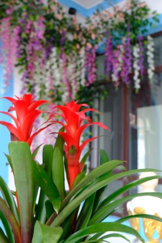 Taman di luar Jingyaju Homestay