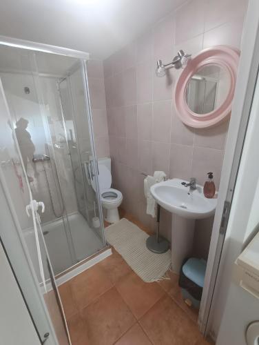 a bathroom with a shower and a toilet and a sink at Barnhouse Duplex in Idanha-a-Nova