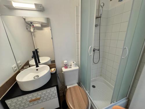 a bathroom with a toilet and a sink and a shower at Le Nid du Guesclin in Thouars