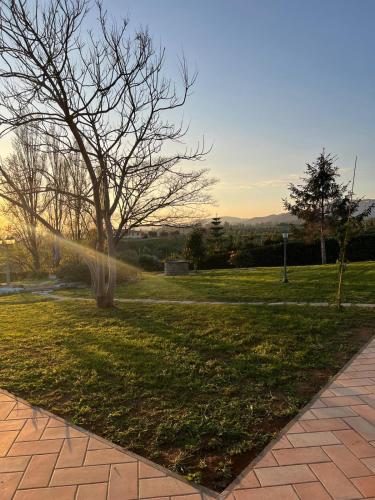 Φυσικό τοπίο κοντά σε αυτό το bed & breakfast
