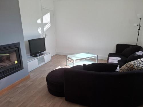 a living room with a black couch and a tv at Maison de vacances in Lacaune