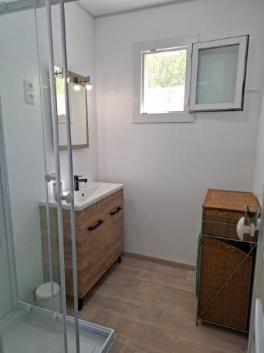 a bathroom with a sink and a mirror at Maison de vacances in Lacaune