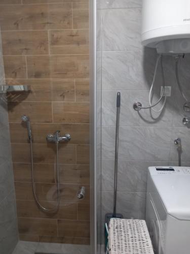 Salle de bains dans l'établissement Apartman Anja Divcibare